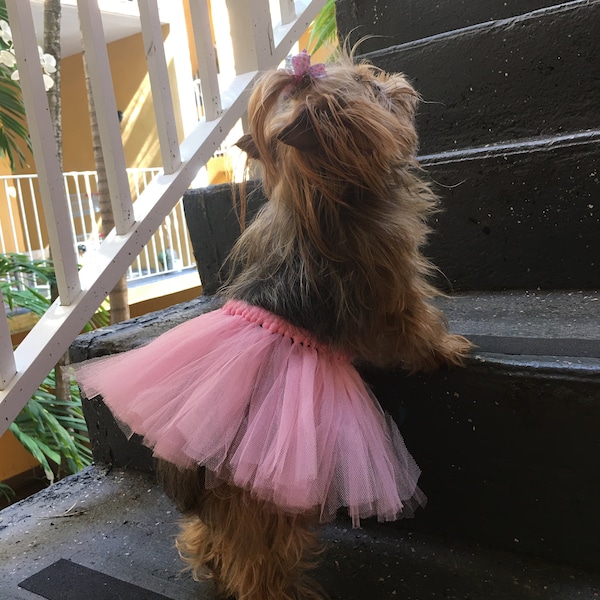 Sweet Dog or Cat TuTu's - Comfy with Elastic Waist, Wear Alone or Pair It Up with a T-Shirt to make a  Cute Dress- 4 colors  in Sm. Med. LG