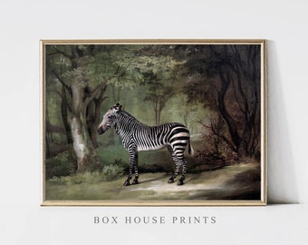 Zebra Print VINTAGE Art Print OIL Painting | Download Only High Resolution | Landscape | Cat Painting Box House Prints