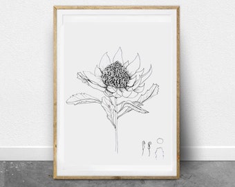 Botany Print / Big Flower Print / Big Flower Wall Art / Botanical Prints / Botanical Wall decor / Plant Prints