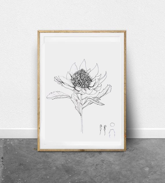 Botany Print Big Flower Print Big Flower Wall Art Etsy