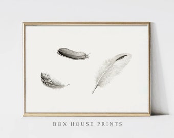 Feathers VINTAGE Art Print OIL Painting | Download Only High Resolution | Painting Box House Prints