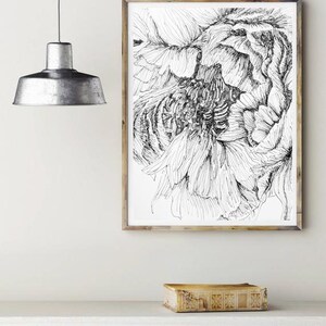 May include: Black and white line drawing of a flower in a wooden frame. The drawing is of a single flower with multiple petals.