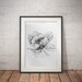 Floral Prints / 8x10 / Set of Three / Printable Wall Art / Botanical ...
