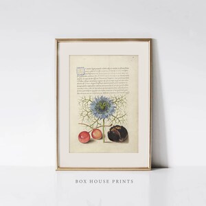 Blue Flower Art Prints | Neutral Muted | Botanical Art | DOWNLOAD ONLY | Box House Prints