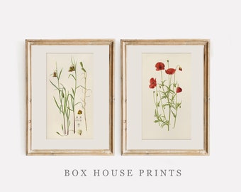 May include: Two framed botanical prints, one with a red poppy flower and the other with a green plant with yellow flowers. The frames are light wood with a gold finish. The text "BOX HOUSE PRINTS" is below the frames.