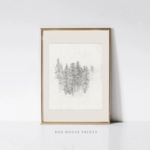 Black and White Forest of Trees VINTAGE Art Print | Download Only Antique Neutral Muted | Wall Art | Landscape | Box House Prints