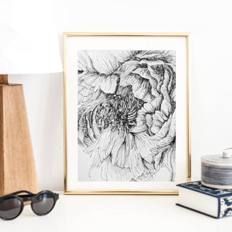 May include: Black and white line drawing of a flower in a gold frame. The flower is drawn in a detailed, realistic style, with intricate lines and shading.