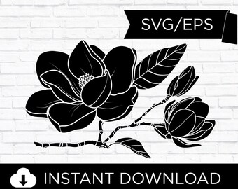 Download Magnolia Svg Etsy