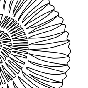 Beach Shell Printable Digital Downloadsimple Coastal DIY - Etsy