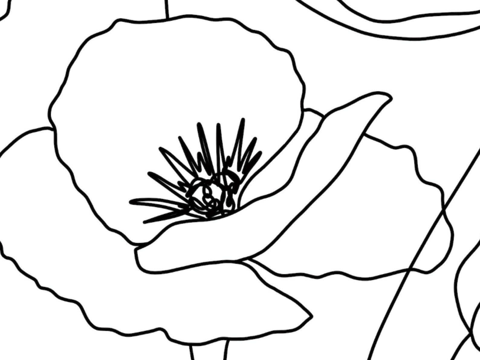Poppy Line Art Botanical Instant Downloadminimal Poppy | Etsy
