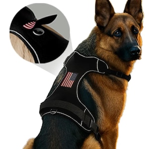 PawPatch Track Dog Harness Large