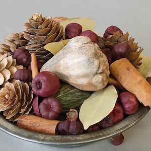 May include: A decorative bowl filled with potpourri. The arrangement includes pine cones, cinnamon sticks, bay leaves, and small, round, dark red fruits. A large, light-colored stone sits in the center of the bowl.