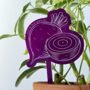 Accessorio per vaso da fiori Giochi di parole: regalo per amanti delle piante appassionato di piante presente giardinaggio arredamento piante casa vaso da fiori personalizzato botanico