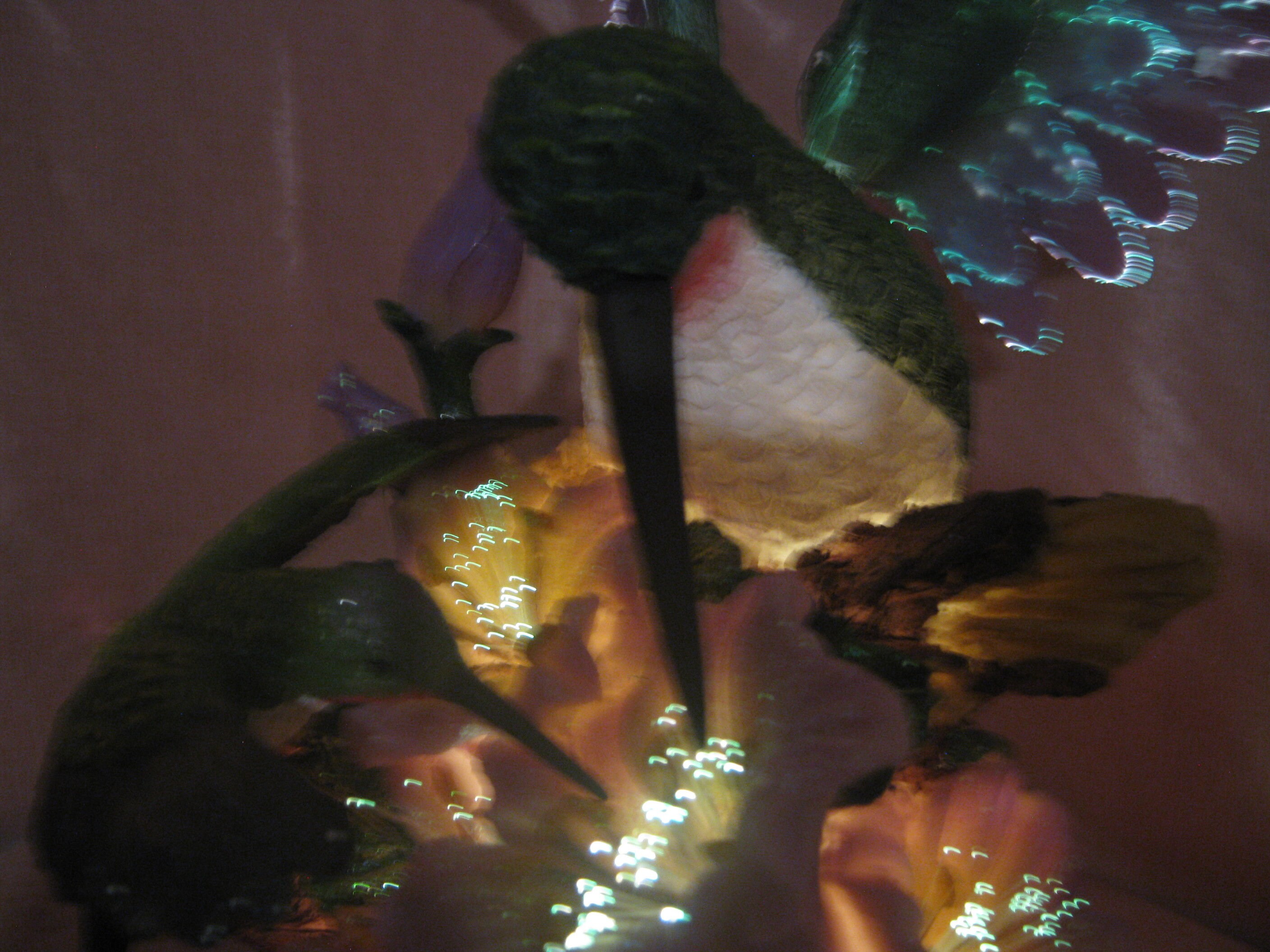 New Moving Wing Statue Hummingbird Fiber Optic Ligting Very Etsy