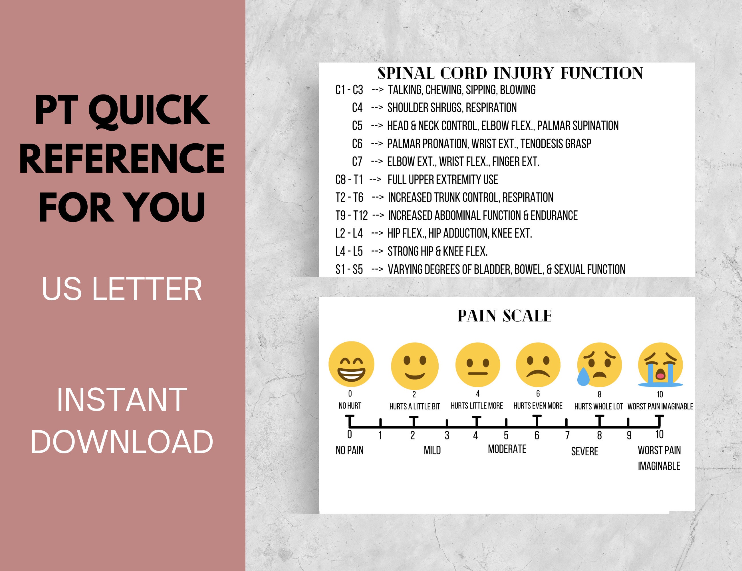 Physical Therapy Quick Reference / Cheat Sheet / Pocket Sized / New ...