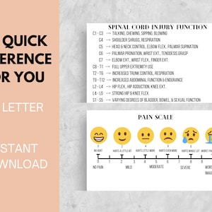 May include: A printable chart with a pink background and black text. The chart lists the functions of the spinal cord by level, from C1-C3 to S1-S5. It also includes a pain scale with emojis and a description of each level of pain.