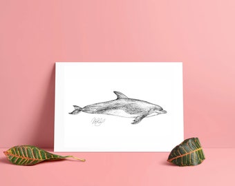 Bottlenose Dolphin Art Print - black and white ink original drawing artwork