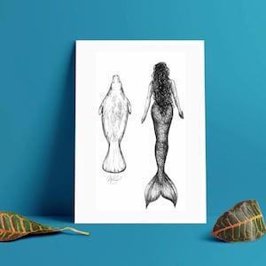 May include: A black and white ink drawing on a white rectangular print featuring a manatee on the left and a mermaid on the right, both depicted from a rear view. The mermaid has long, textured hair and a scaled tail, while the manatee is smooth.