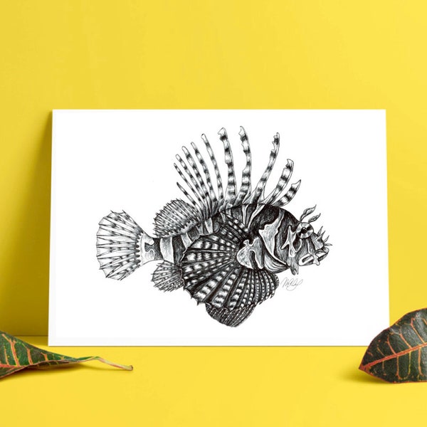 Lionfish artwork - Pterois volitans, nautical ocean - black and white drawing art print