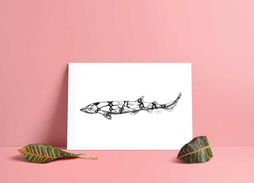 Shark Artwork Glow in the Dark Chain Cat Shark Deep Sea, Oceanic