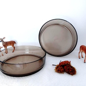 Może przedstawiać: Dwie przezroczyste, okrągłe, brązowo zabarwione szklane miski. Miniaturowe figurki jeleni i suszone akcenty kwiatowe są rozmieszczone wokół misek. Miski są prawdopodobnie przeznaczone do celów dekoracyjnych lub serwowania.
