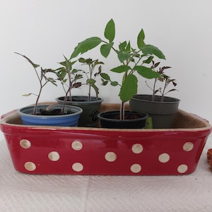 Soufflenheim casserole in red with polka dots -  Alsace - shabby style home / garden decor