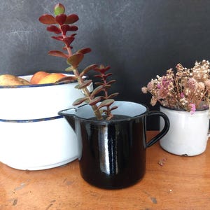 May include: A white enamel bowl with a blue rim containing round fruits, a black enamel pitcher holding a tall succulent plant with reddish-green leaves, and a small white enamel mug filled with a cluster of dried pink and white flowers.