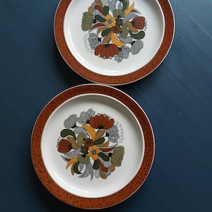 2 Thomas Kiruna dinner plates - large Thomas Kiruna Camargue dinner plates, diameter 28 cm - Design by Hertha Bengtson