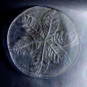 Peut inclure: Une assiette circulaire en verre transparent présentant un motif central en relief composé de cinq feuilles rayonnantes. Les feuilles ont une surface texturée et nervurée qui contraste avec le bord lisse et transparent de l'assiette.