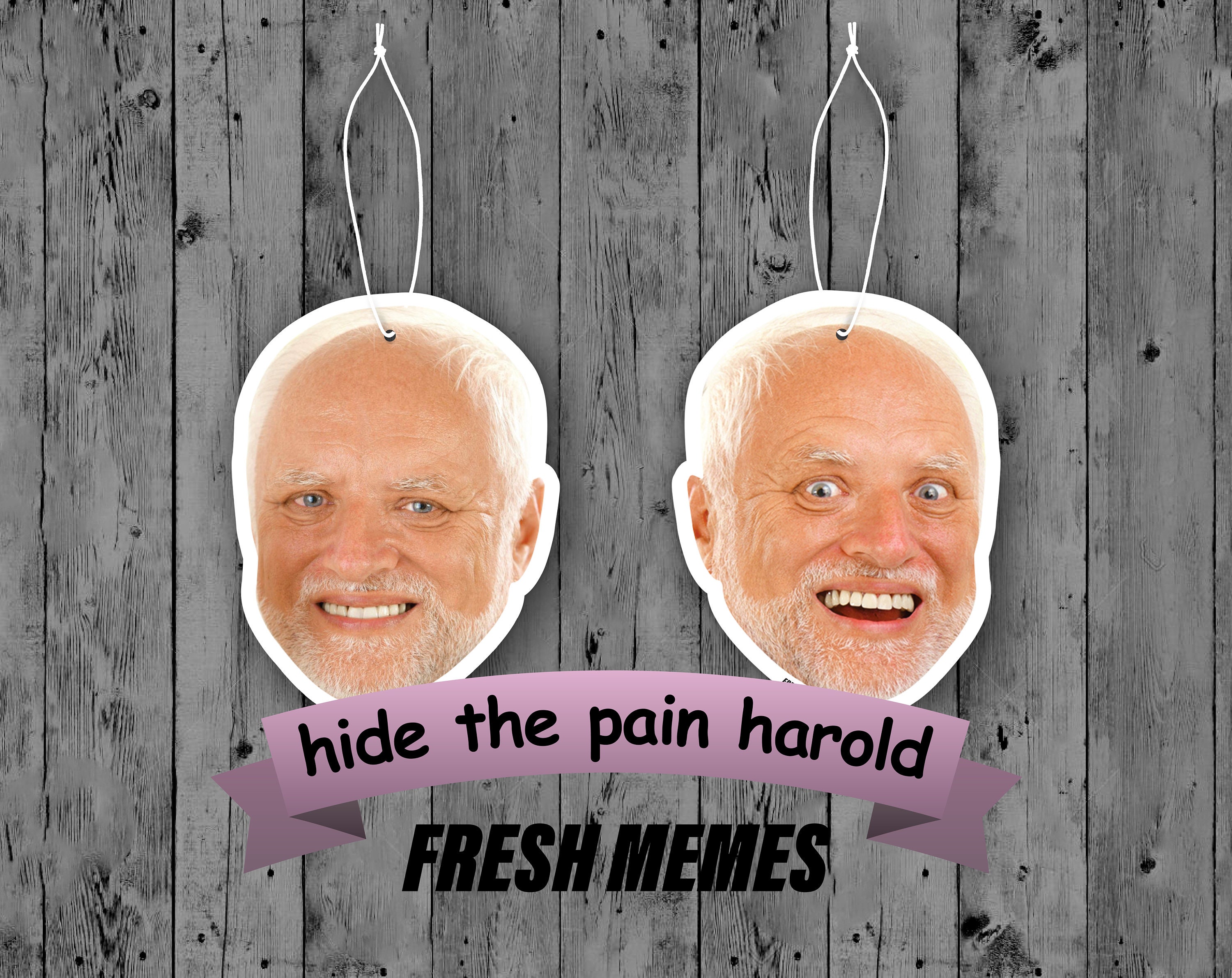 Hide the Pain Harold Meme Air Freshener Etsy Australia