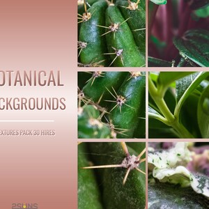 Floral photo overlay, Fine art textures, Flower photoshop textures, Floral Sublimation, Forest background, Nature textures, Floral backdrop