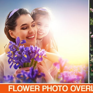 Digital flower backdrop, Flower photo overlays, Floral Photoshop overlays, Field overlays, Tree branches background, Floral backdrop