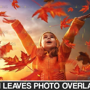 Blatt Photoshop Overlays, Herbstblätter Foto Overlays, Herbst Blätter Foto Overlays, Herbst Hintergrund, Halloween Foto Overlays, Blätter Png