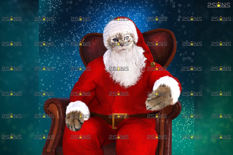 Christmas overlay Christmas digital backdrop Santa Pet portrait template /& Santa overlay christmas card Digital Pet painting background