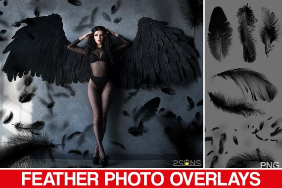 Black Feather overlay & Photoshop overlay: Angel feather clipart, Valentines overlay photoshop, Feather png overlays, Fairy photo overlay Il_570xn