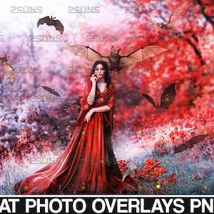 Halloween overlay, photoshop overlays, Realistic bat photo overlays, Halloween overlays, Black bat overlays, Halloween bat clipart
