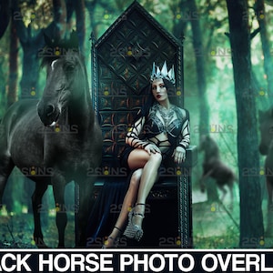 Horse png, Horse photo overlays, Photoshop overlays, Halloween overlay, Animal backdrop, Unicorn overlay, Black horse backdrop Horse clipart