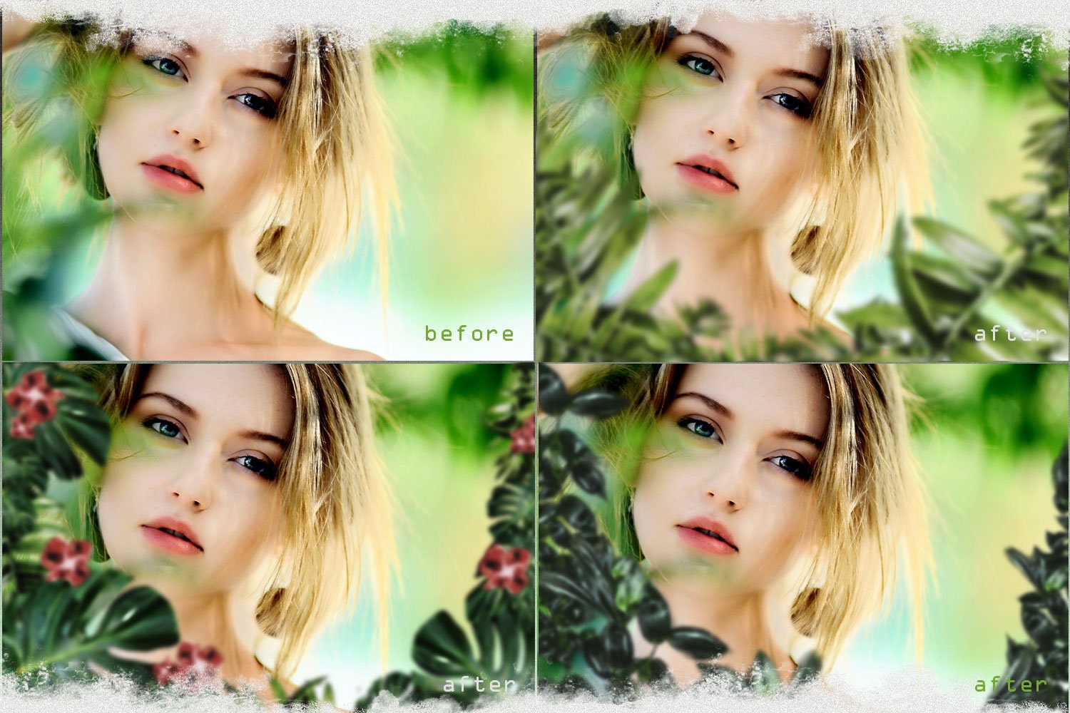 Flower overlay & overlay Floral overlay Bokeh Etsy