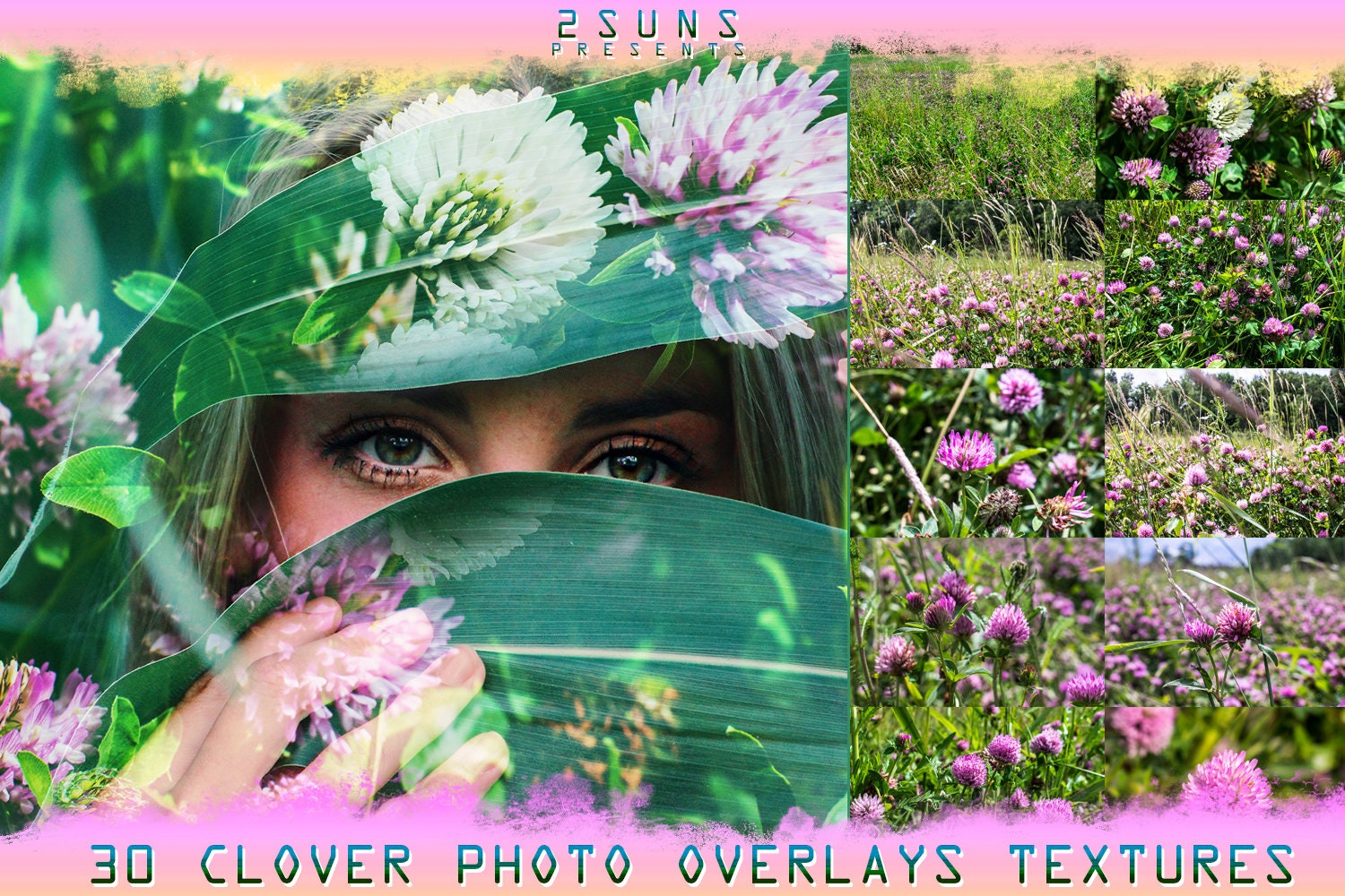 Flower overlay & overlay Wildflower overlay Etsy