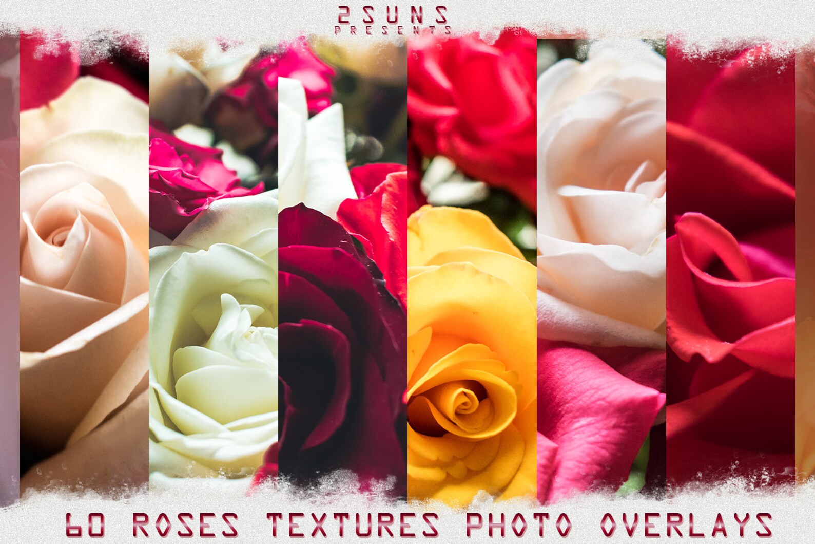 Flower overlay Rose overlays overlay Romantic Etsy