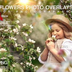 Digital flower backdrop, Flower photoshop overlays, Flower overlay, Photo overlay, Field overlay, Tree branches, Floral backdrop, Fine Art