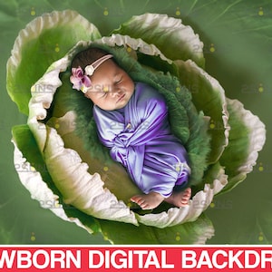 Newborn digital backdrops, Floral backdrop, Digital newborn nature backdrop, Cabbage baby digital backdrop, Newborn digital backgrounds