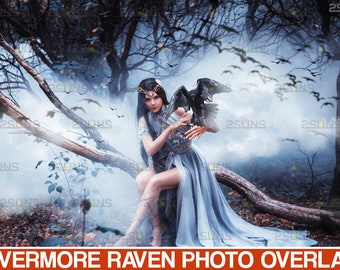 Raven photoshop overlays, Halloween overlay, photo overlay, Realistic halloween clipart, Raven clipart, bird overlays, black crow overlays