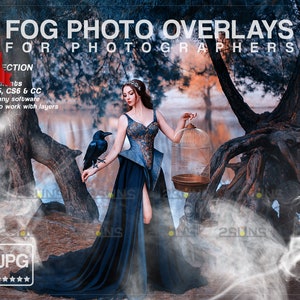 Real fog overlay, White smoke overlay, Photoshop overlays, Halloween overlay, smoke photo overlay, Fog photo overlays, Fog Textures Smoke