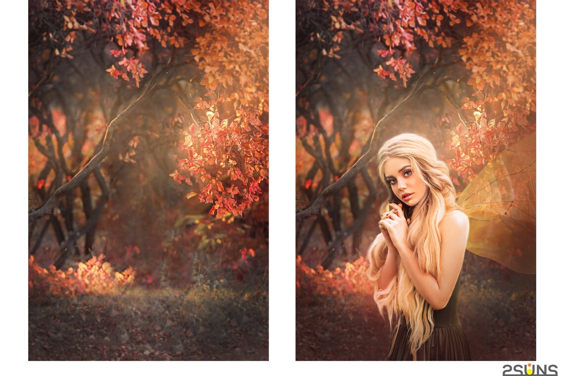 Floral backdrop & overlay Flower overlay Blooming Etsy