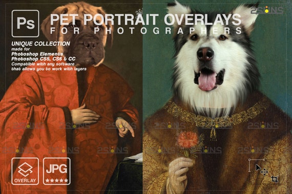Royal Pet Portrait Templates Digital Pet Art Pet Painting Background Paw Overlay Pet Portrait Digital Background Royal Dog Portrait By 2suns Catch My Party