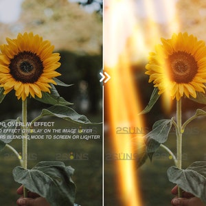 Sunlight Photo Overlays, Lens Flare Photoshop Overlays, Natural Sun ...