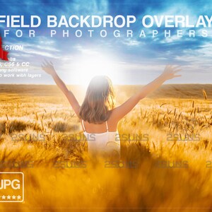 Digital flower backdrop, Flower photoshop overlays, Flower overlay, Photo overlay, Field overlay, Tree branches, Floral backdrop, Fine Art