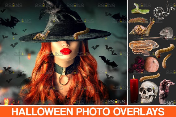 Halloween clipart & Halloween photoshop overlay: Pumpkin overlay, witch clipart, Skull png, Horror photo overlay, spooky insect clipart Il_570xn