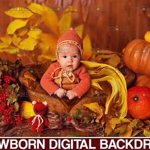 Newborn digital backdrops, Baby backdrop, Digital newborn nature backdrop, Autumn backdrop, Fall background, Baby digital backdrops